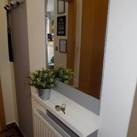 Fészek Apartamento *