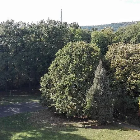 Apartamento Fészek *