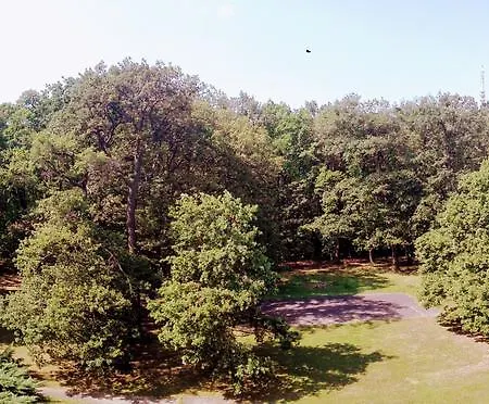 Апартаменты Feszek Шопрон