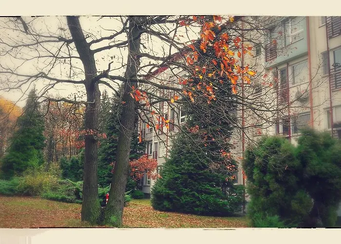 Appartement Fészek *