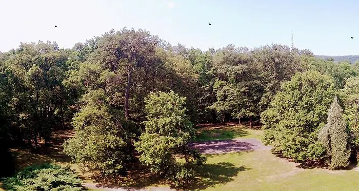 Apartment Feszek Sopron